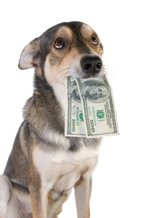 [Image: iStock_dog-with-money.jpg]