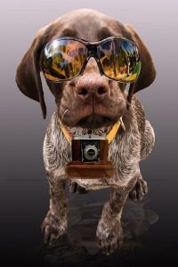 Dog with a camera