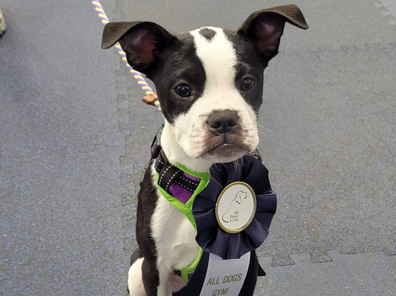 282838599_366640302120093_1805463318425991379_n