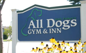 All Dogs Gym and Inn
