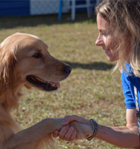 dog trainer with a dog