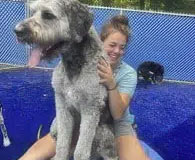staff hugging a happy dog