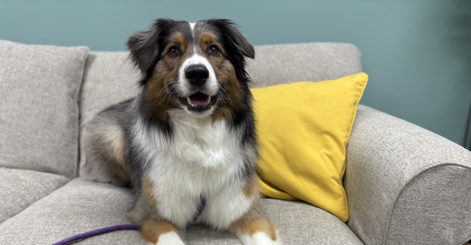 20250614_184340819_iOS-XL (1)