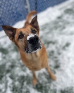 486706598_1161330326004896_2519565275628728632_n