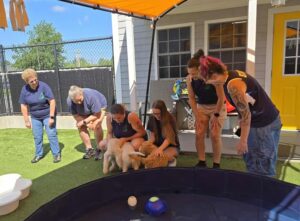 533148241_1277748261029768_6519012918267298047_n