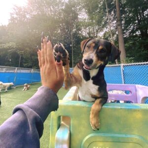 536269161_1283081910496403_3766083207491842552_n