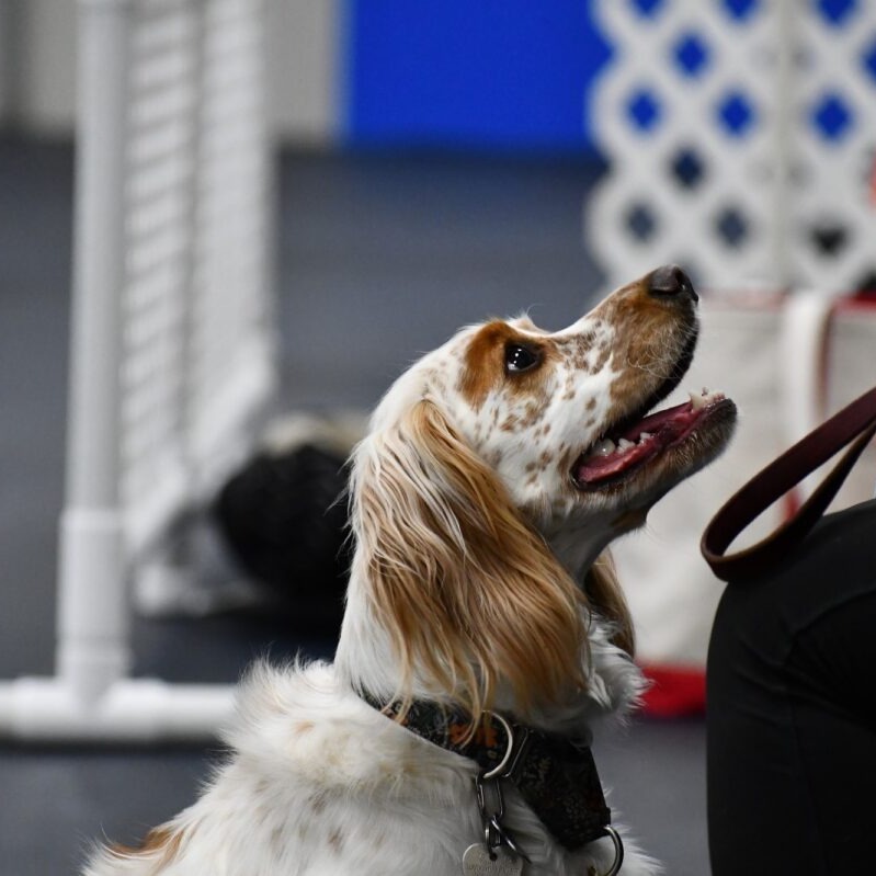 58d9b4dc-a469-42b3-8c9e-cd77d652ad73 (1)