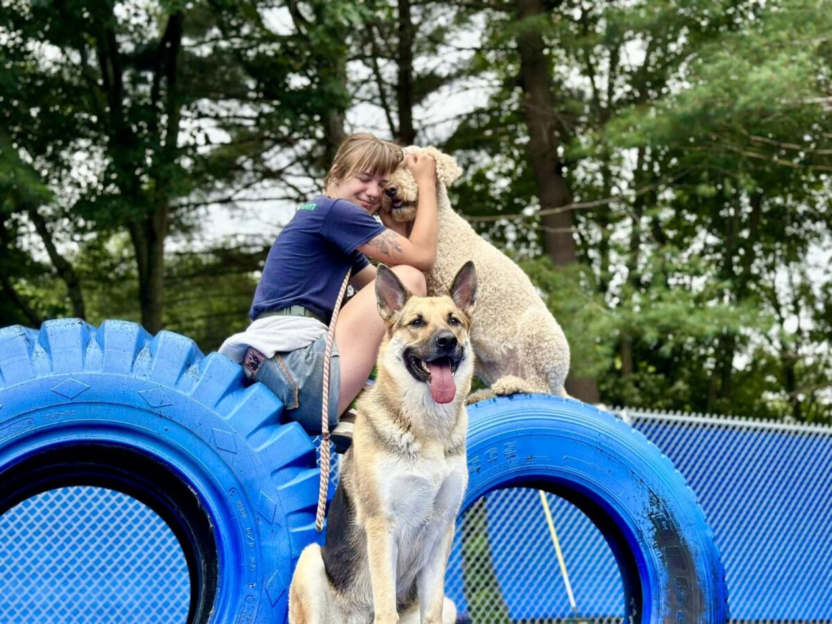 9ffe793d-9fcb-4328-ab06-8a7bf6b1c2ce