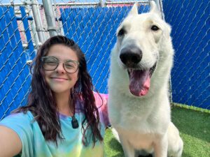 e7347d53-97ea-4b9f-bcff-a055d30ec637